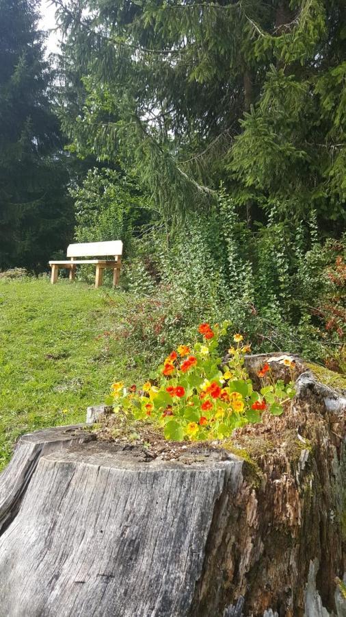 Appartement Leh Annaberg im Lammertal Eksteriør bilde
