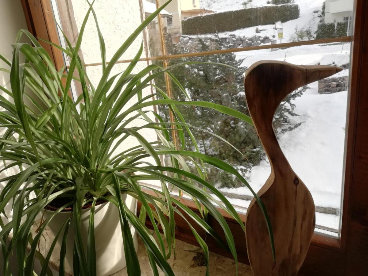 Appartement Leh Annaberg im Lammertal Eksteriør bilde